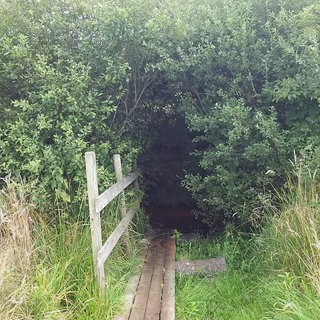 Ferienhaus 8 Person In Oksbøl