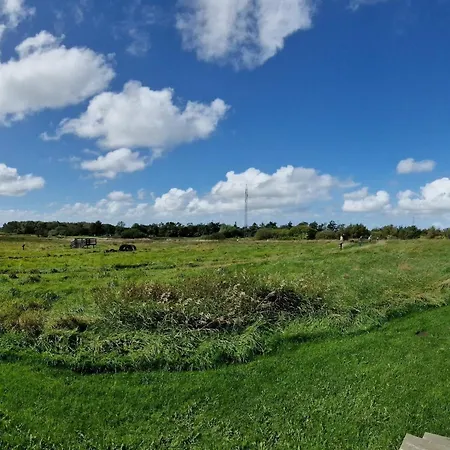 8 Person In Ferienhaus Oksbøl
