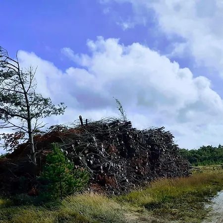 8 Person In Ferienhaus