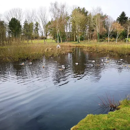 Ferienhaus 8 Person In Oksbøl