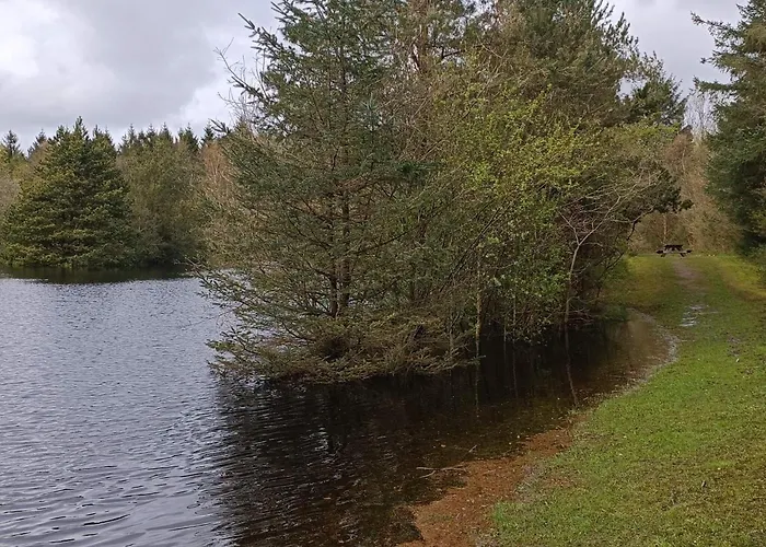 8 Person In Oksbøl